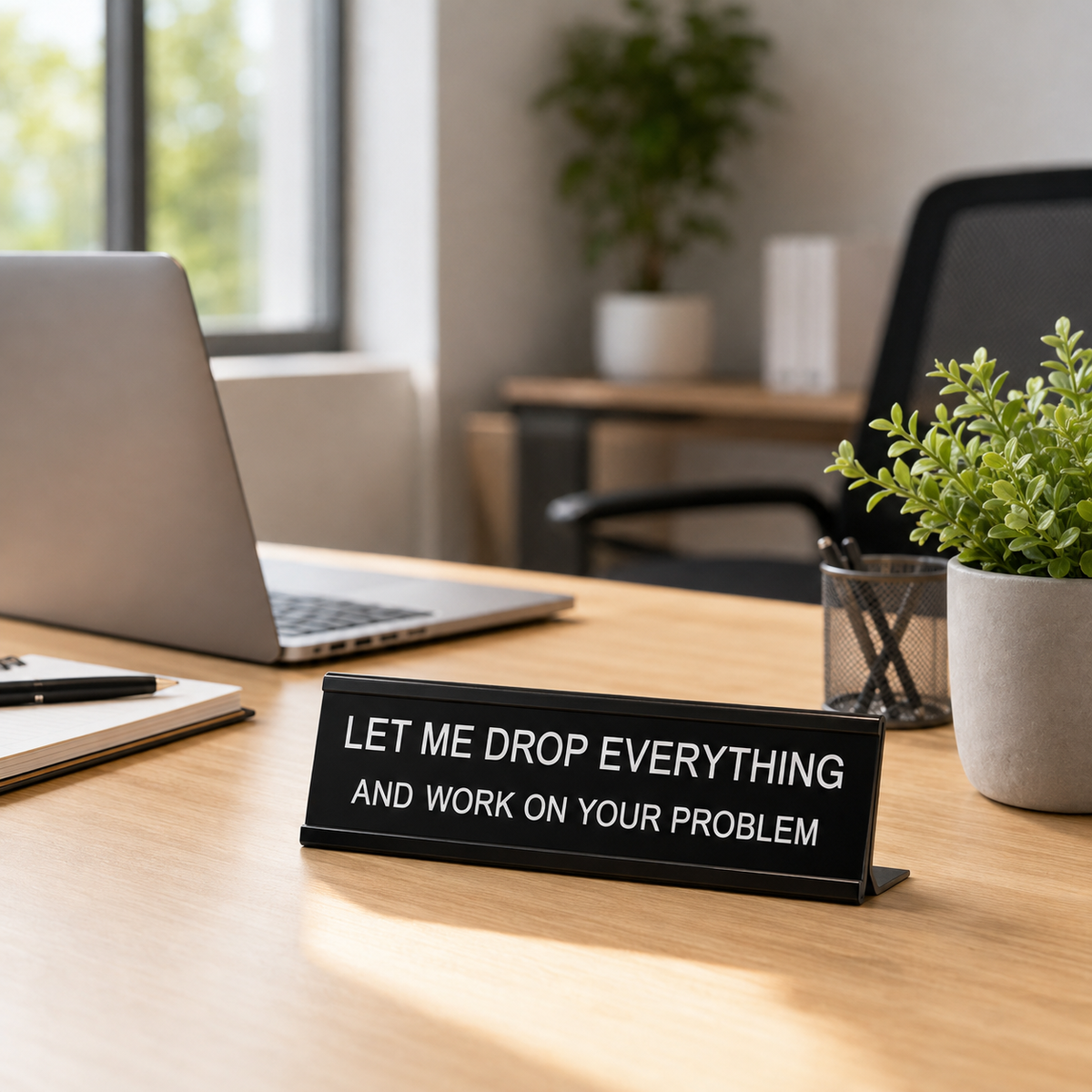 Funny Office Desk Signs, Novelty Gift for Coworker, Hilarious Office Decor