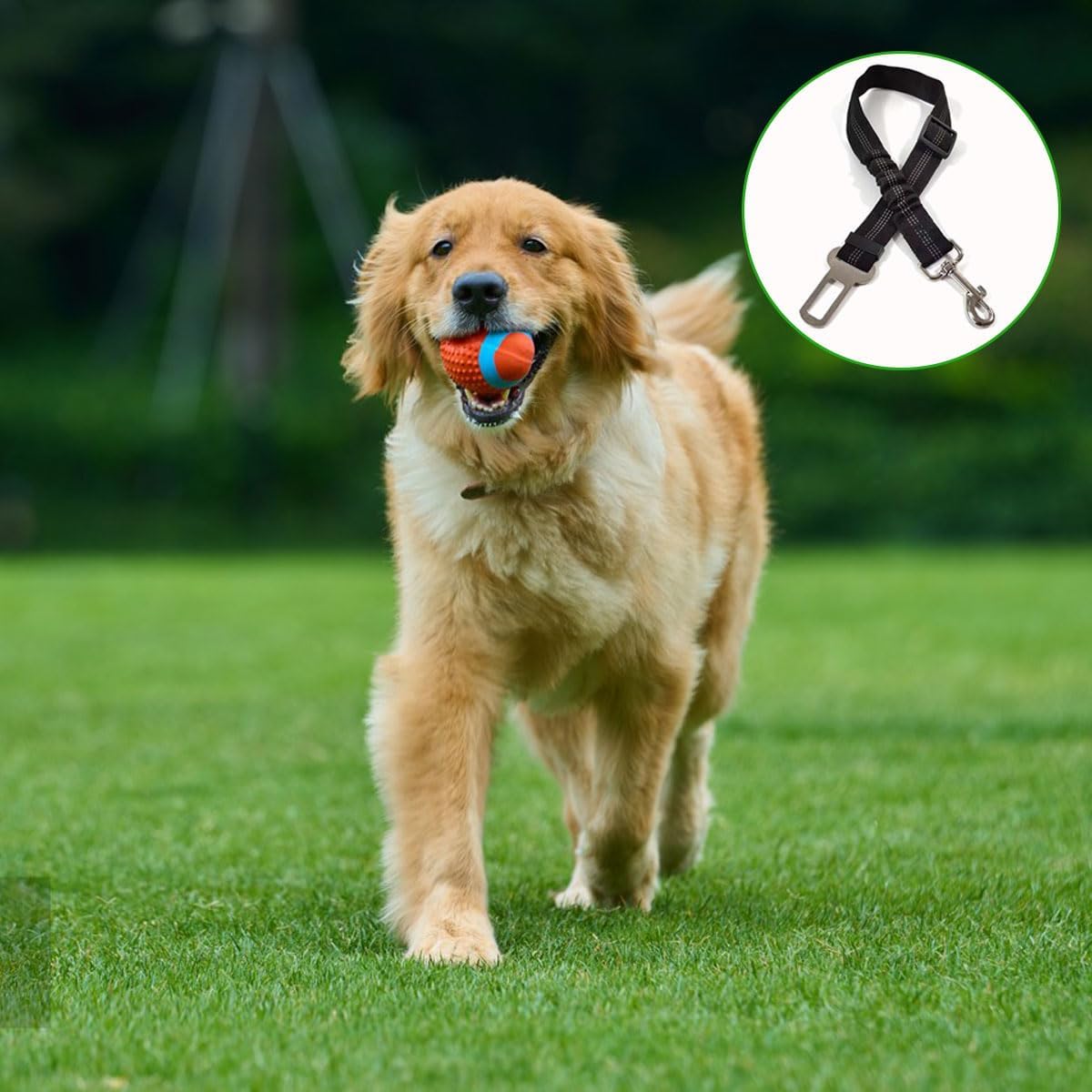 Adjustable Dog Car Seat Tether – A Handy Connection for Your Travel Setup
