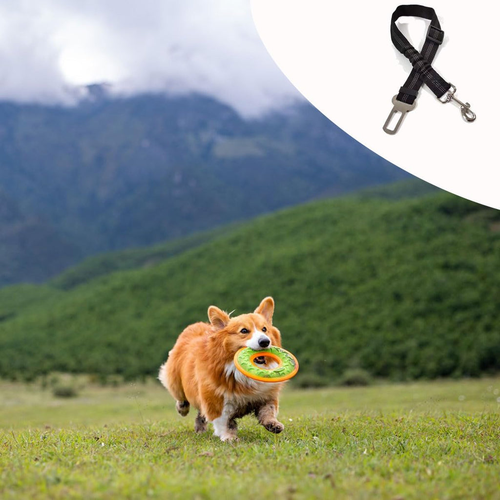 Adjustable Dog Car Seat Tether – A Handy Connection for Your Travel Setup