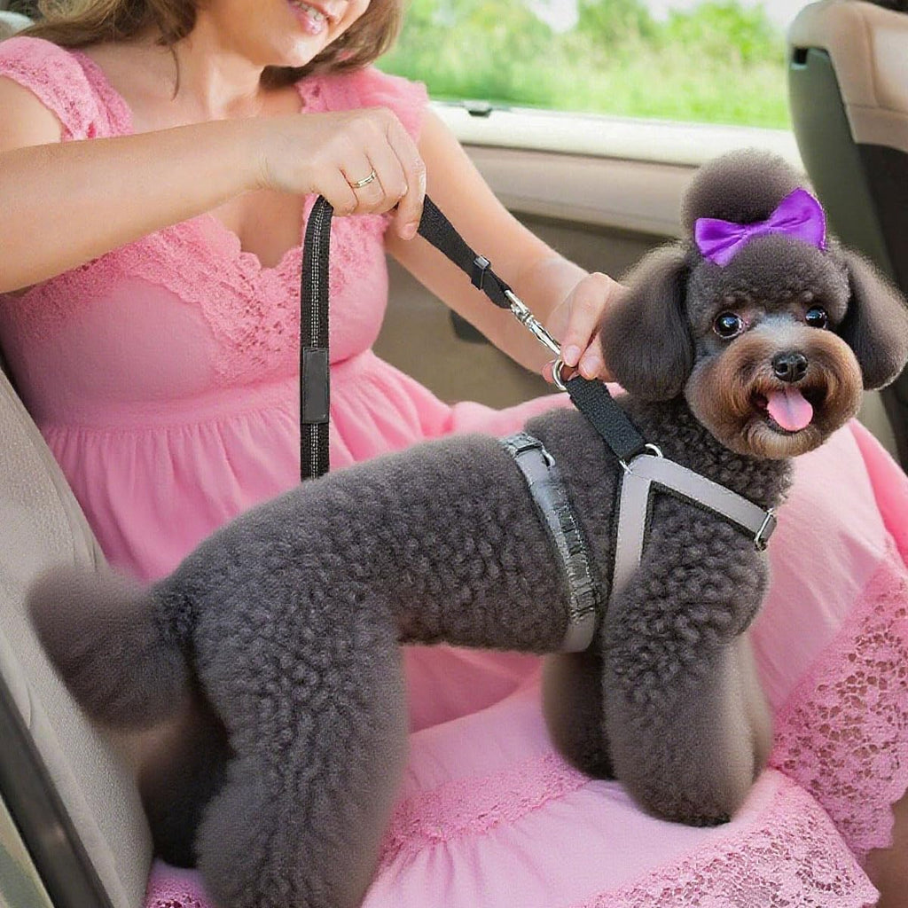 Adjustable Dog Car Seat Tether – A Handy Connection for Your Travel Setup